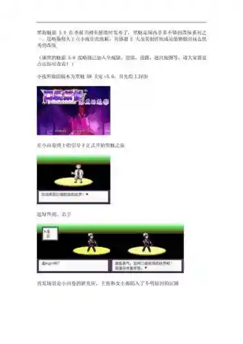 口袋妖怪漆黑的魅影四周目攻略，漆黑的魅影 四周目插图