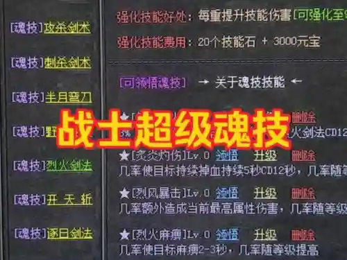 热血传奇合计技能，热血传奇合计技能怎么获得