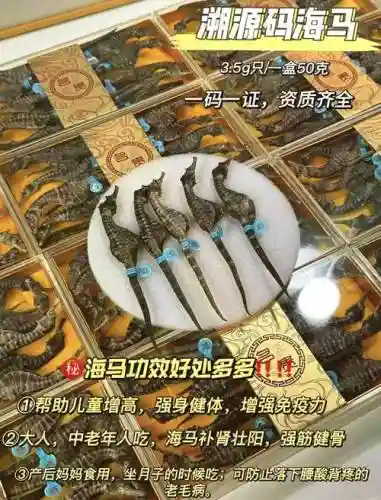梦幻西游正月十五海马价格，梦幻西游海马的功效与作用吃法插图