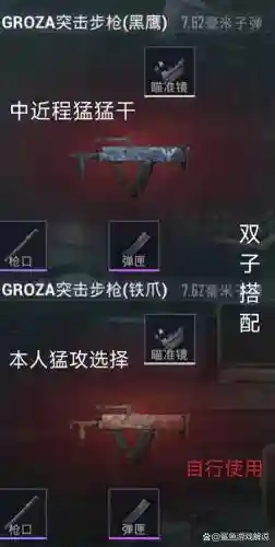 刺激战场两把武器搭配，刺激战场一般带哪两把枪插图