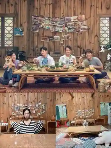 向往4人气阵容搭配，向往第四季插图