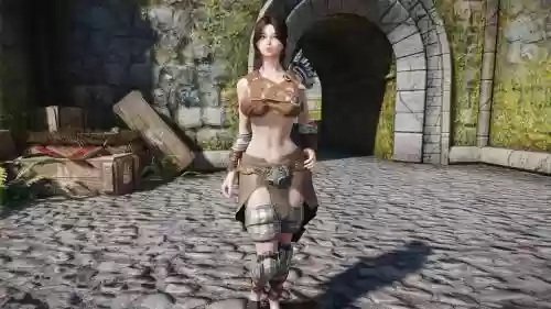 上古卷轴装备替换mod下载，上古卷轴5替换npc默认装备